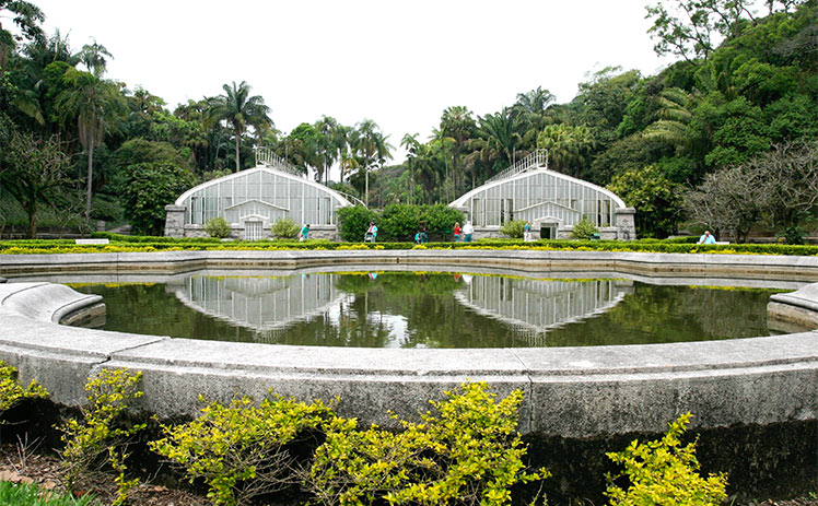 Imagem Jardim Botânico